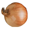 Cebolla